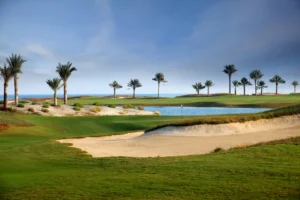 Saadiyat Island Real Estate